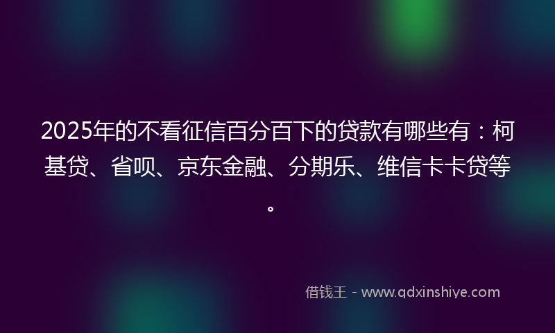2025年的不看征信百分百下的贷款有哪些有：柯基贷、省呗、京东金融、分期乐、维信卡卡贷等。