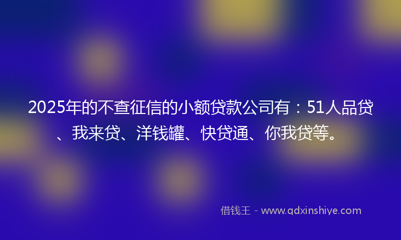 2025年的不查征信的小额贷款公司有：51人品贷、我来贷、洋钱罐、快贷通、你我贷等。