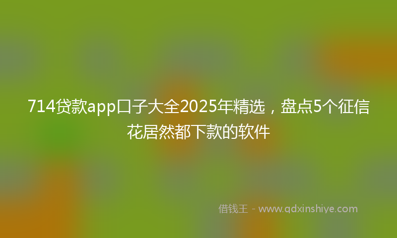 714贷款app口子大全2025年精选,盘点5个征信花居然都下款的软件