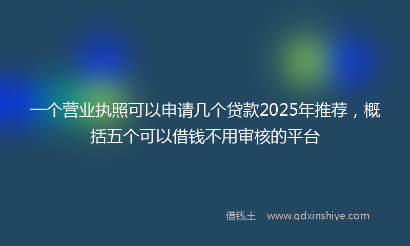一个营业执照可以申请几个贷款2025年推荐，概括五个可以借钱不用审核的平台