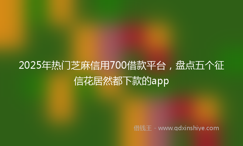 2025年热门芝麻信用700借款平台，盘点五个征信花居然都下款的app
