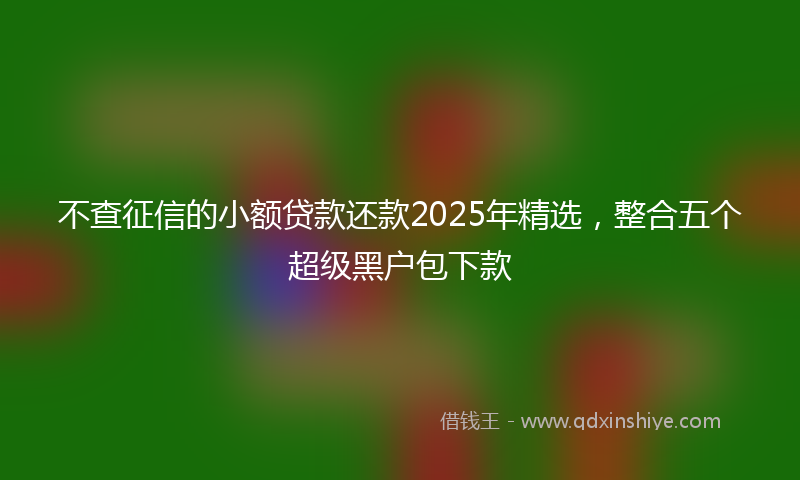 不查征信的小额贷款还款2025年精选，整合五个超级黑户包下款
