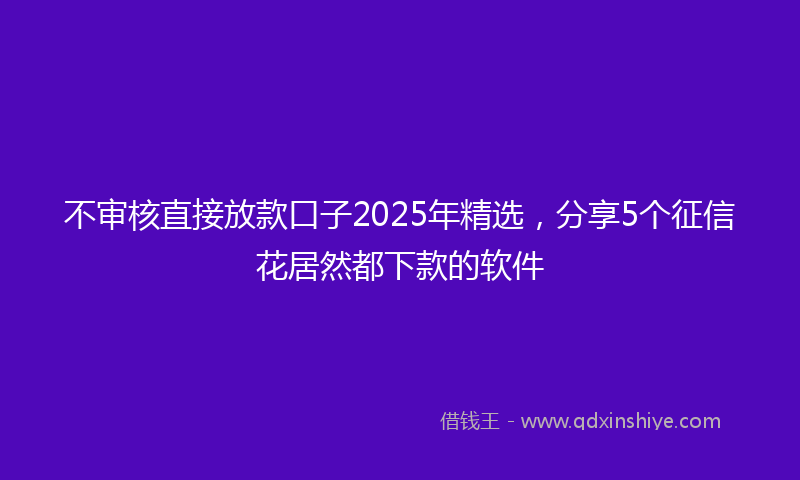 不审核直接放款口子2025年精选，分享5个征信花居然都下款的软件