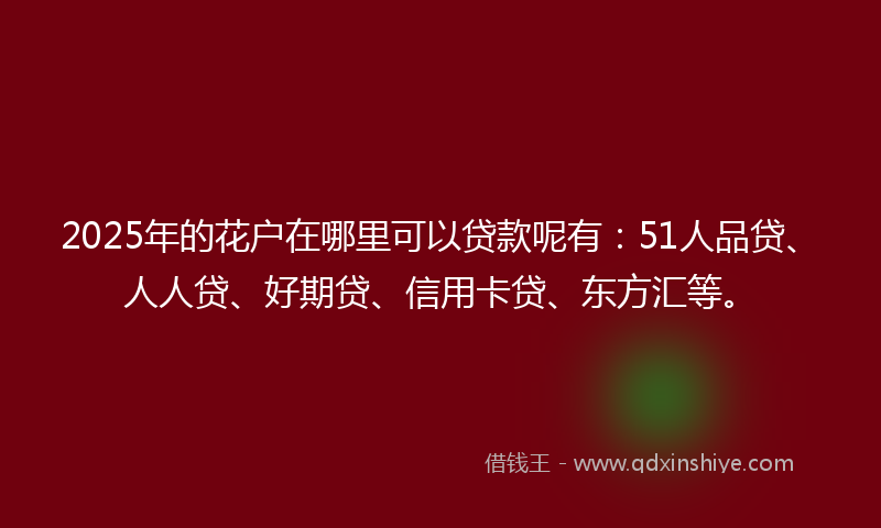 2025年的花户在哪里可以贷款呢有：51人品贷、人人贷、好期贷、信用卡贷、东方汇等。