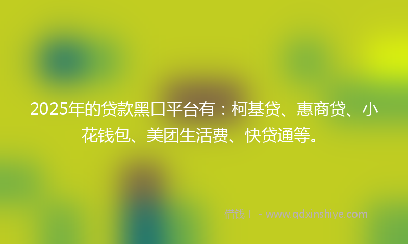 2025年的贷款黑口平台有：柯基贷、惠商贷、小花钱包、美团生活费、快贷通等。