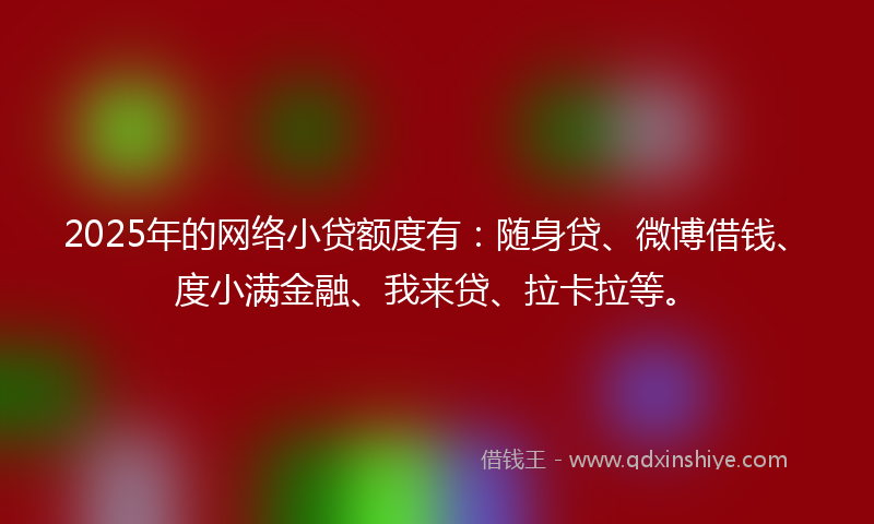 2025年的网络小贷额度有：随身贷、微博借钱、度小满金融、我来贷、拉卡拉等。