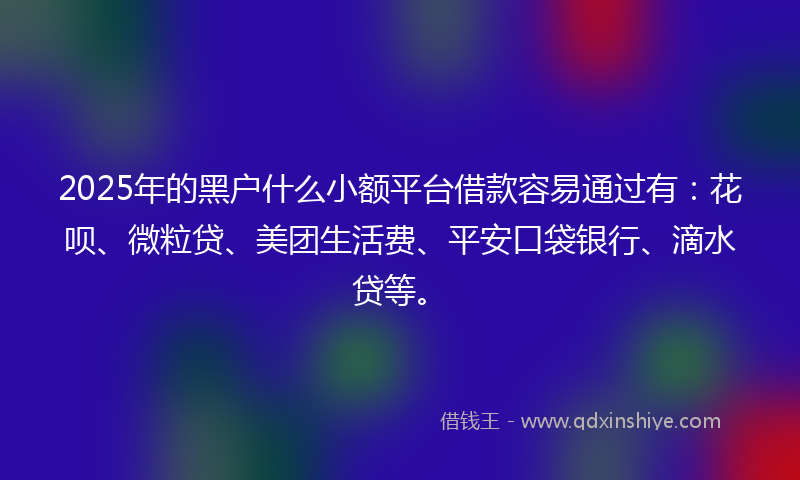 2025年的黑户什么小额平台借款容易通过有:花呗、微粒贷、美团生活费、平安口袋银行、滴水贷等。