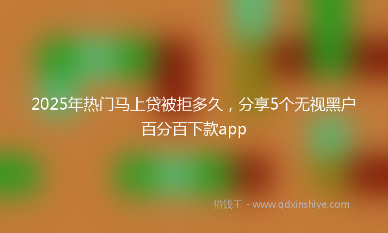 2025年热门马上贷被拒多久，分享5个无视黑户百分百下款app