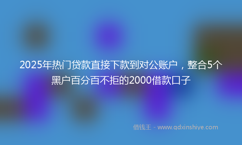 2025年热门贷款直接下款到对公账户，整合5个黑户百分百不拒的2000借款口子