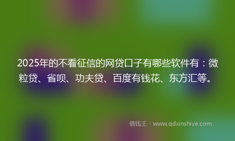 2025年的不看征信的网贷口子有哪些软件有：微粒贷、省呗、功夫贷、百度有钱花、东方汇等。