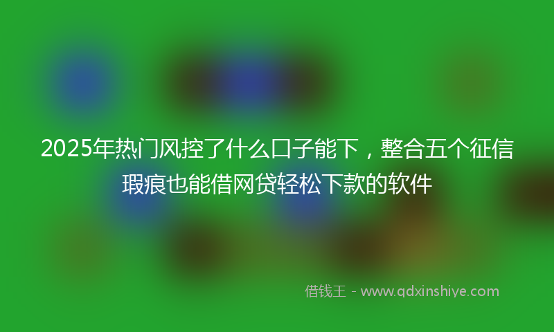 2025年热门风控了什么口子能下，整合五个征信瑕疵也能借网贷轻松下款的软件