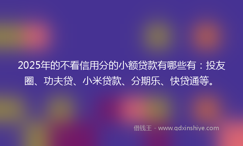 2025年的不看信用分的小额贷款有哪些有：投友圈、功夫贷、小米贷款、分期乐、快贷通等。