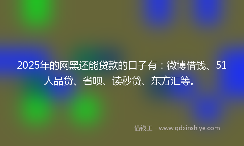 2025年的网黑还能贷款的口子有：微博借钱、51人品贷、省呗、读秒贷、东方汇等。