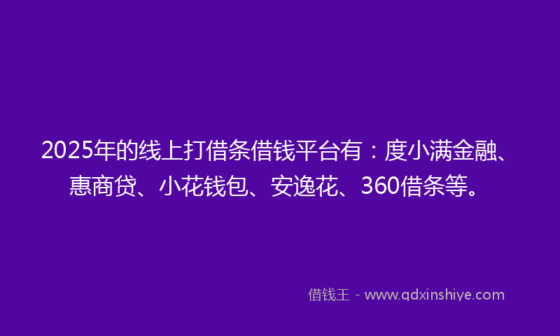 2025年的线上打借条借钱平台有：度小满金融、惠商贷、小花钱包、安逸花、360借条等。