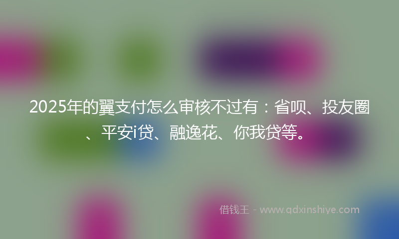 2025年的翼支付怎么审核不过有：省呗、投友圈、平安i贷、融逸花、你我贷等。