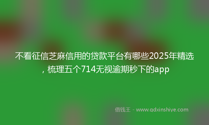不看征信芝麻信用的贷款平台有哪些2025年精选，梳理五个714无视逾期秒下的app