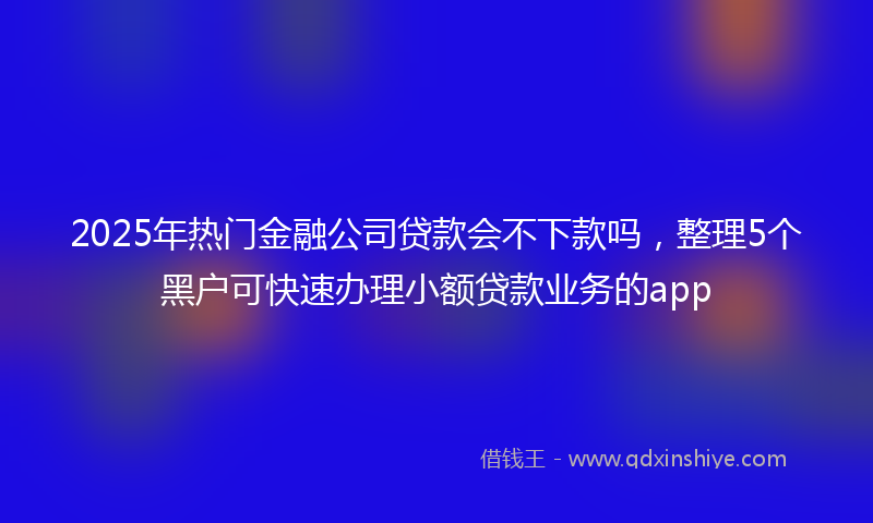 2025年热门金融公司贷款会不下款吗，整理5个黑户可快速办理小额贷款业务的app