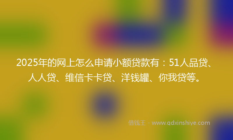 2025年的网上怎么申请小额贷款有：51人品贷、人人贷、维信卡卡贷、洋钱罐、你我贷等。