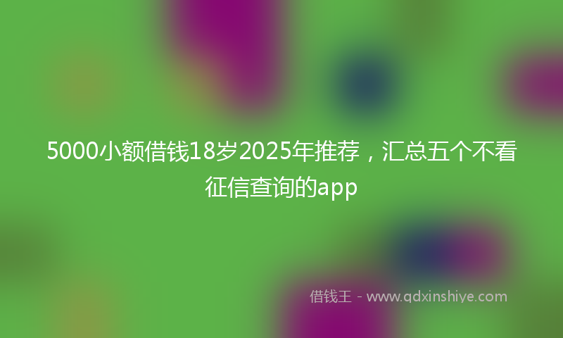 5000小额借钱18岁2025年推荐，汇总五个不看征信查询的app