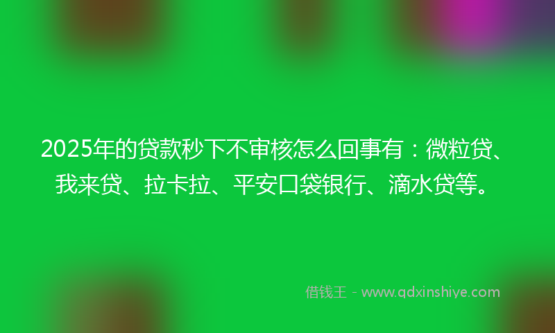 2025年的贷款秒下不审核怎么回事有：微粒贷、我来贷、拉卡拉、平安口袋银行、滴水贷等。
