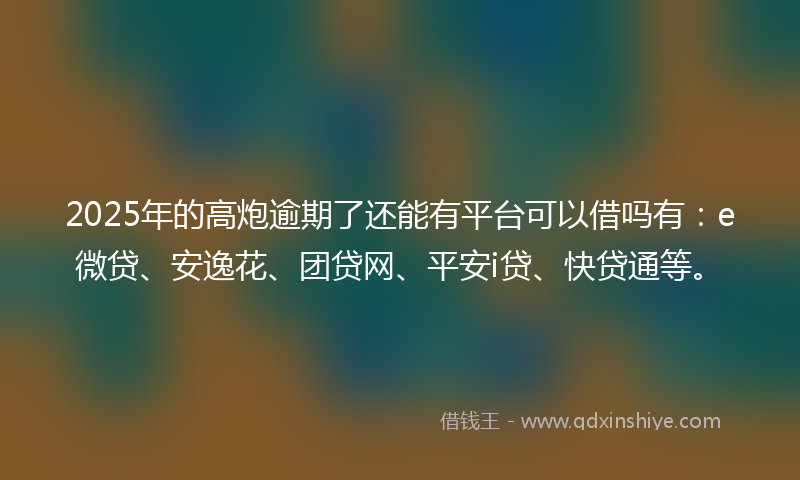 2025年的高炮逾期了还能有平台可以借吗有：e微贷、安逸花、团贷网、平安i贷、快贷通等。