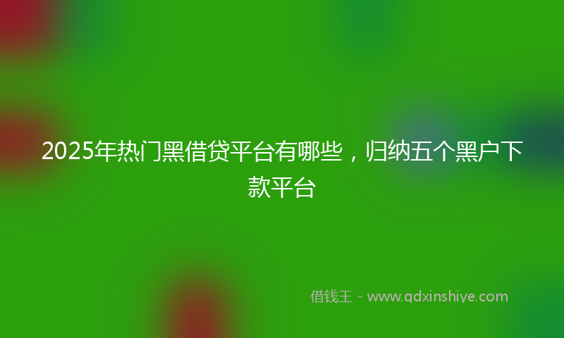 2025年热门黑借贷平台有哪些,归纳五个黑户下款平台