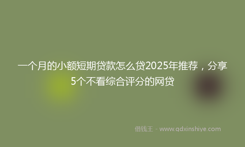 一个月的小额短期贷款怎么贷2025年推荐，分享5个不看综合评分的网贷