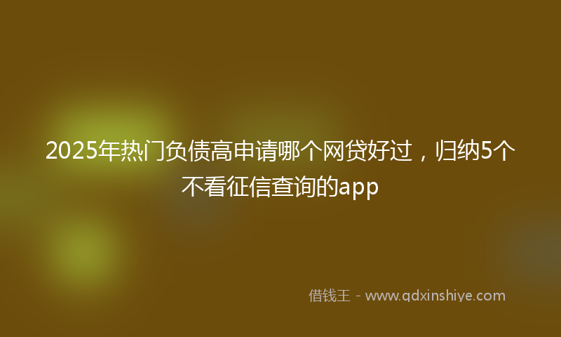 2025年热门负债高申请哪个网贷好过，归纳5个不看征信查询的app