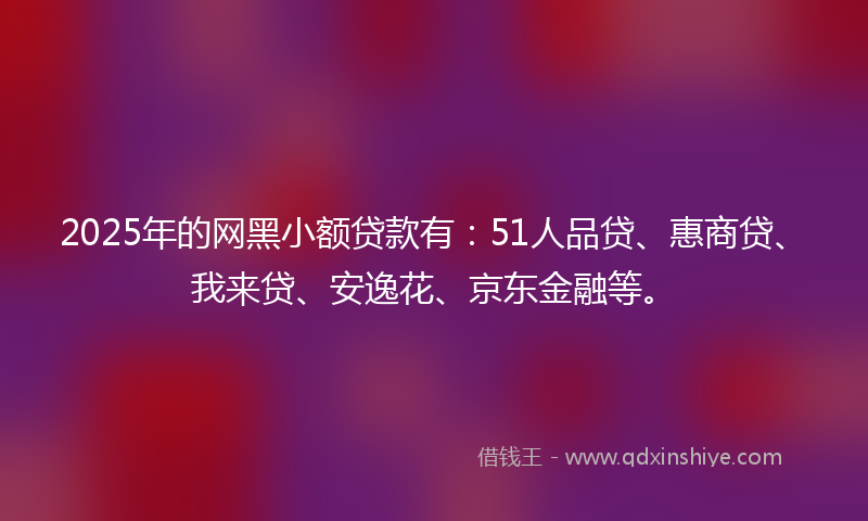 2025年的网黑小额贷款有：51人品贷、惠商贷、我来贷、安逸花、京东金融等。