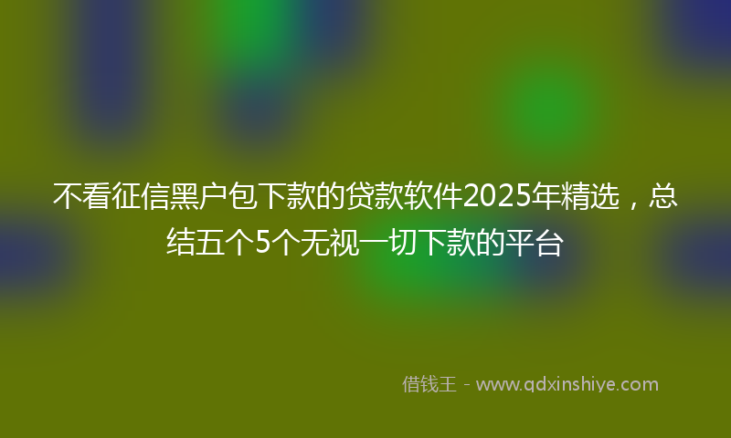 不看征信黑户包下款的贷款软件2025年精选，总结五个5个无视一切下款的平台