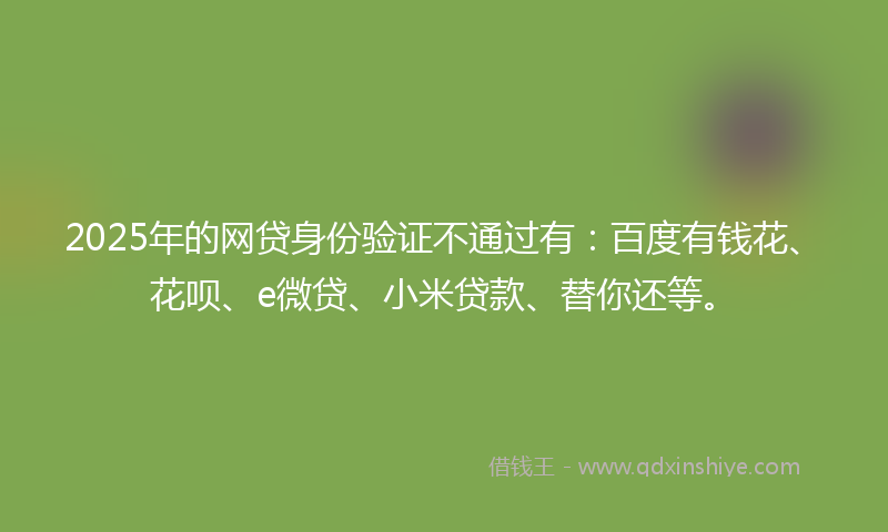 2025年的网贷身份验证不通过有：百度有钱花、花呗、e微贷、小米贷款、替你还等。