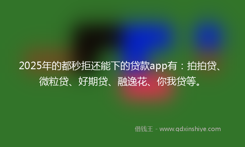 2025年的都秒拒还能下的贷款app有：拍拍贷、微粒贷、好期贷、融逸花、你我贷等。