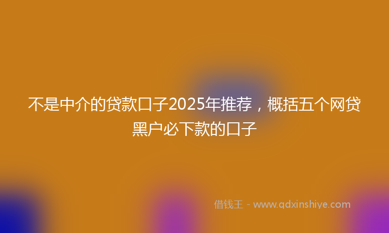 不是中介的贷款口子2025年推荐，概括五个网贷黑户必下款的口子