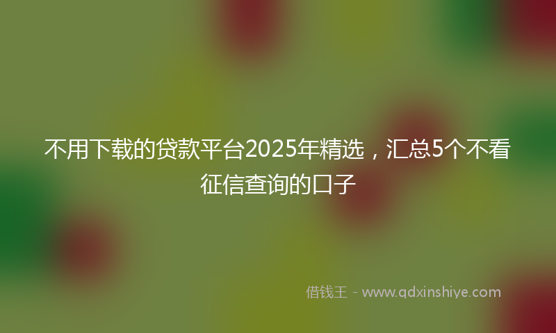 不用下载的贷款平台2025年精选，汇总5个不看征信查询的口子