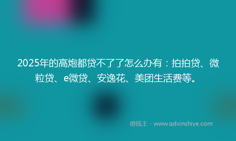 2025年的高炮都贷不了了怎么办有：拍拍贷、微粒贷、e微贷、安逸花、美团生活费等。