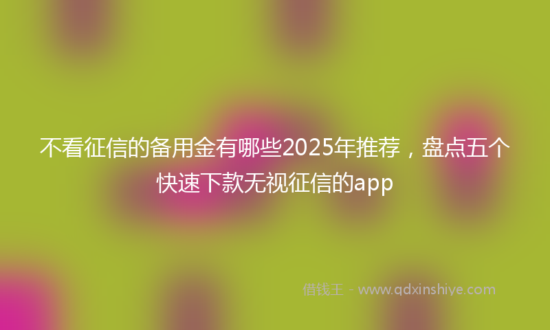 不看征信的备用金有哪些2025年推荐，盘点五个快速下款无视征信的app