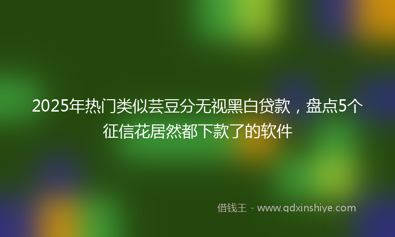 2025年热门类似芸豆分无视黑白贷款，盘点5个征信花居然都下款了的软件