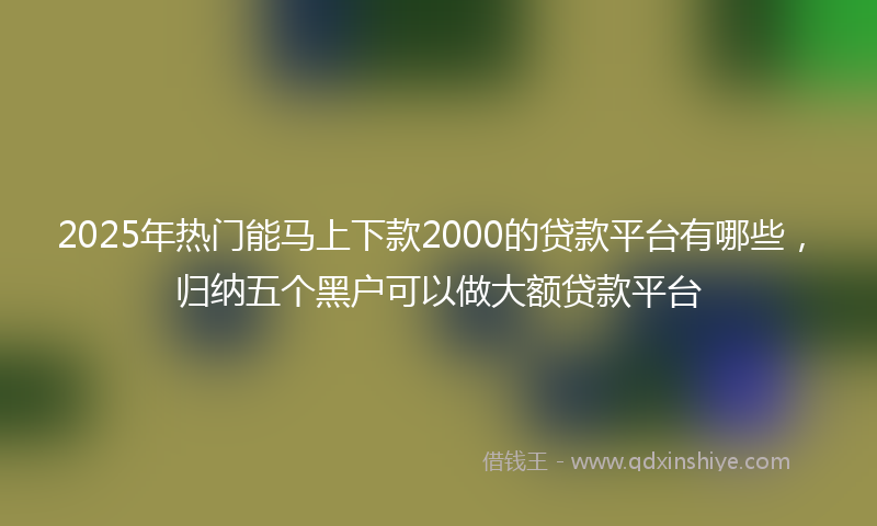 2025年热门能马上下款2000的贷款平台有哪些，归纳五个黑户可以做大额贷款平台