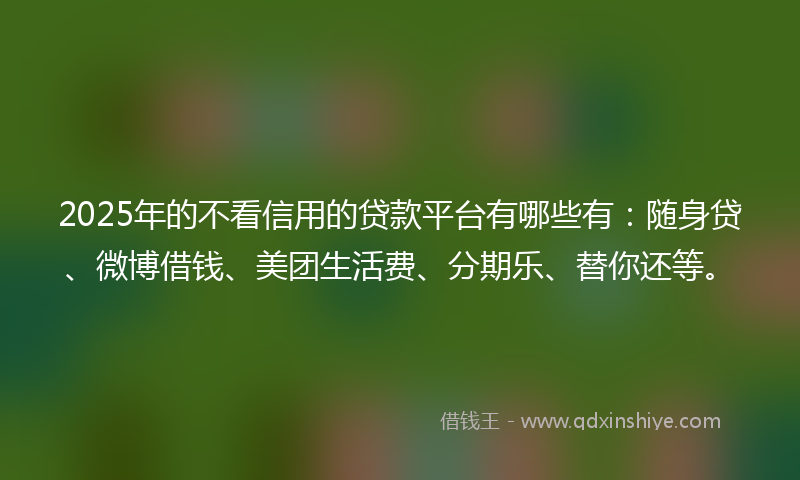 2025年的不看信用的贷款平台有哪些有：随身贷、微博借钱、美团生活费、分期乐、替你还等。