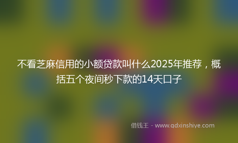 不看芝麻信用的小额贷款叫什么2025年推荐，概括五个夜间秒下款的14天口子