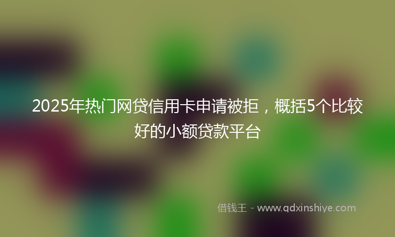 2025年热门网贷信用卡申请被拒，概括5个比较好的小额贷款平台