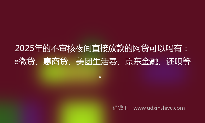 2025年的不审核夜间直接放款的网贷可以吗有：e微贷、惠商贷、美团生活费、京东金融、还呗等。