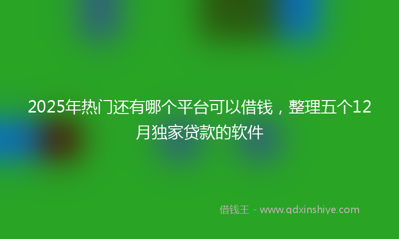 2025年热门还有哪个平台可以借钱，整理五个12月独家贷款的软件