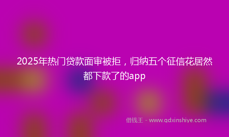 2025年热门贷款面审被拒，归纳五个征信花居然都下款了的app