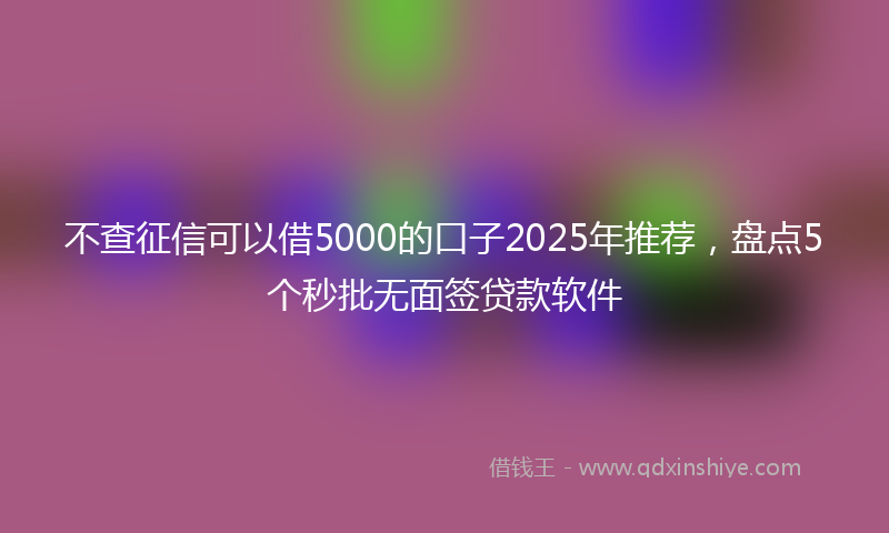 不查征信可以借5000的口子2025年推荐，盘点5个秒批无面签贷款软件