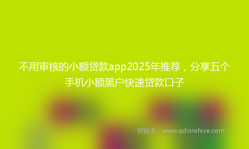 不用审核的小额贷款app2025年推荐，分享五个手机小额黑户快速贷款口子