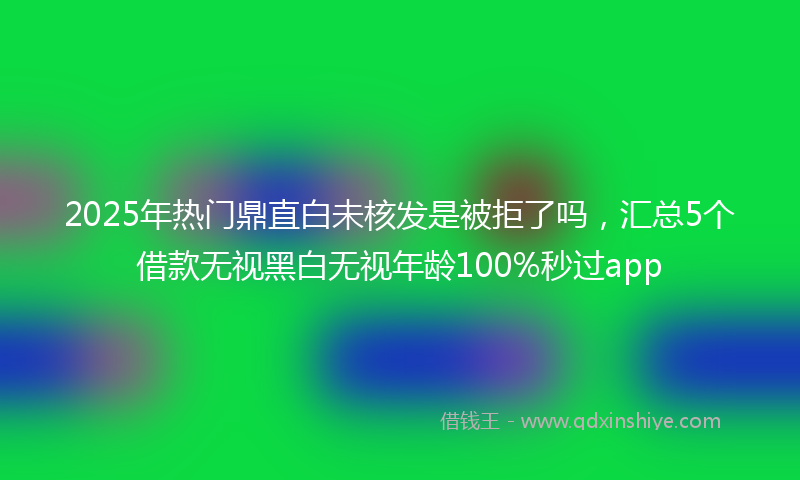2025年热门鼎直白未核发是被拒了吗,汇总5个借款无视黑白无视年龄100%秒过app