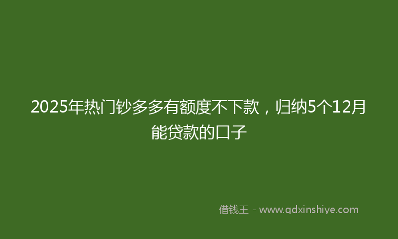 2025年热门钞多多有额度不下款，归纳5个12月能贷款的口子