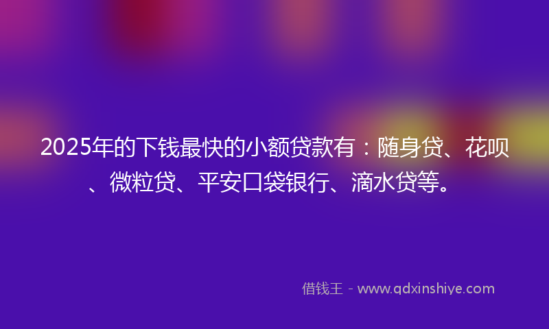 2025年的下钱最快的小额贷款有：随身贷、花呗、微粒贷、平安口袋银行、滴水贷等。