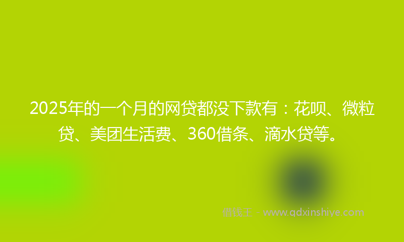2025年的一个月的网贷都没下款有：花呗、微粒贷、美团生活费、360借条、滴水贷等。